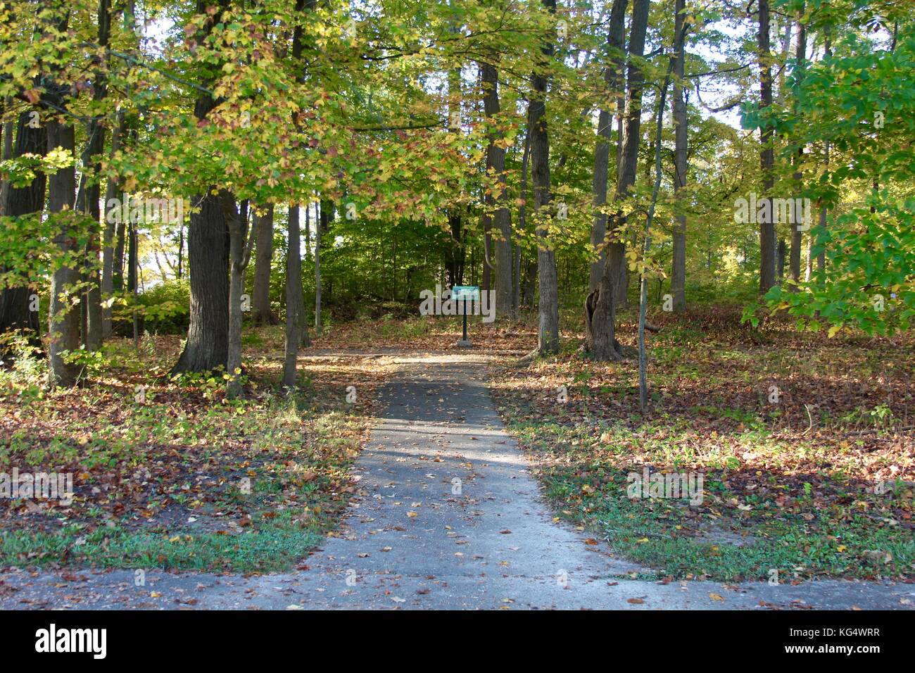 Der schöne Tag in den Parks und die Natur im Wechsel von Sommer bis Herbst. Stockfoto