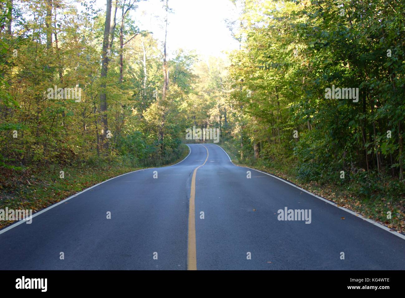 Der schöne Tag in den Parks und die Natur im Wechsel von Sommer bis Herbst. Stockfoto
