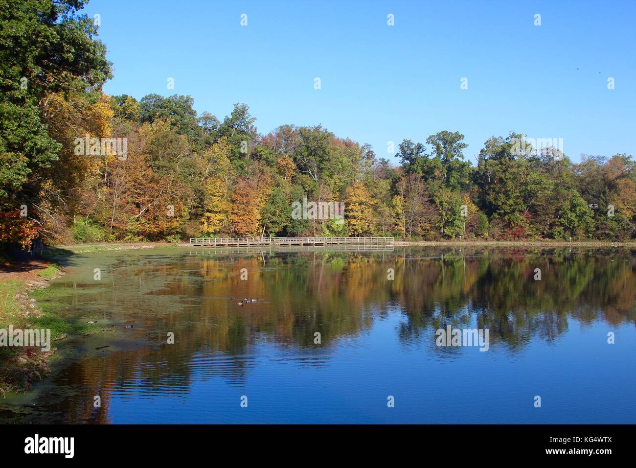 Der schöne Tag in den Parks und die Natur im Wechsel von Sommer bis Herbst. Stockfoto