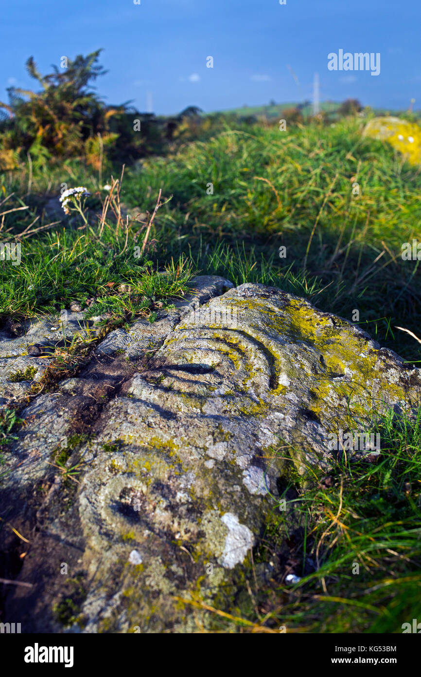 Alte Felszeichnungen aus der Jungsteinzeit, als in einem Feld solcher Artefakte in ein Feld der historischen Bedeutung in ländlichen Irland gefunden. Das Muster ist abstrakt. Stockfoto