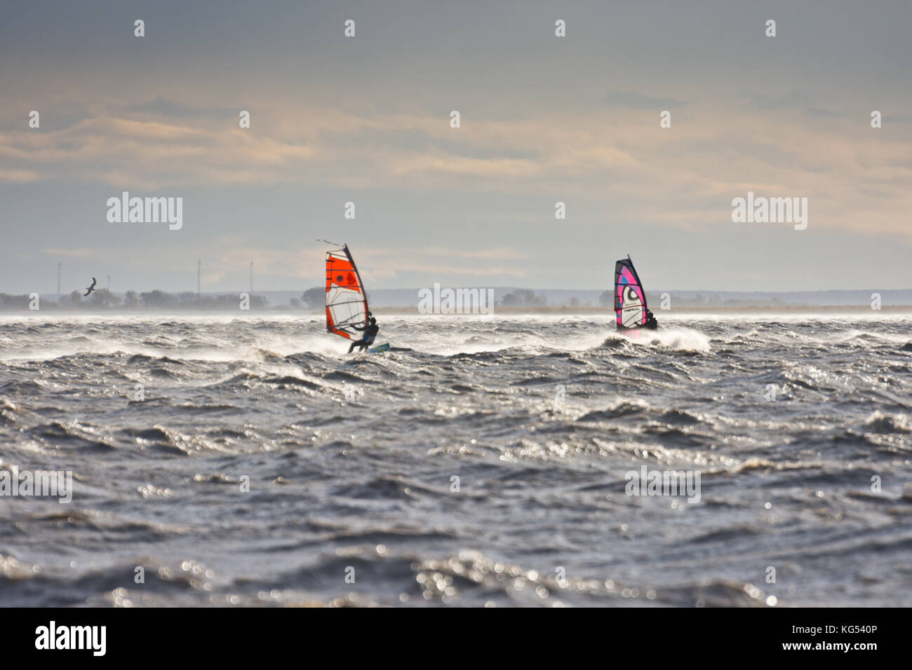 Windsurfer auf dem Neusiedlersee (Neusiedler See) Surfen in einem Sturm. Stockfoto
