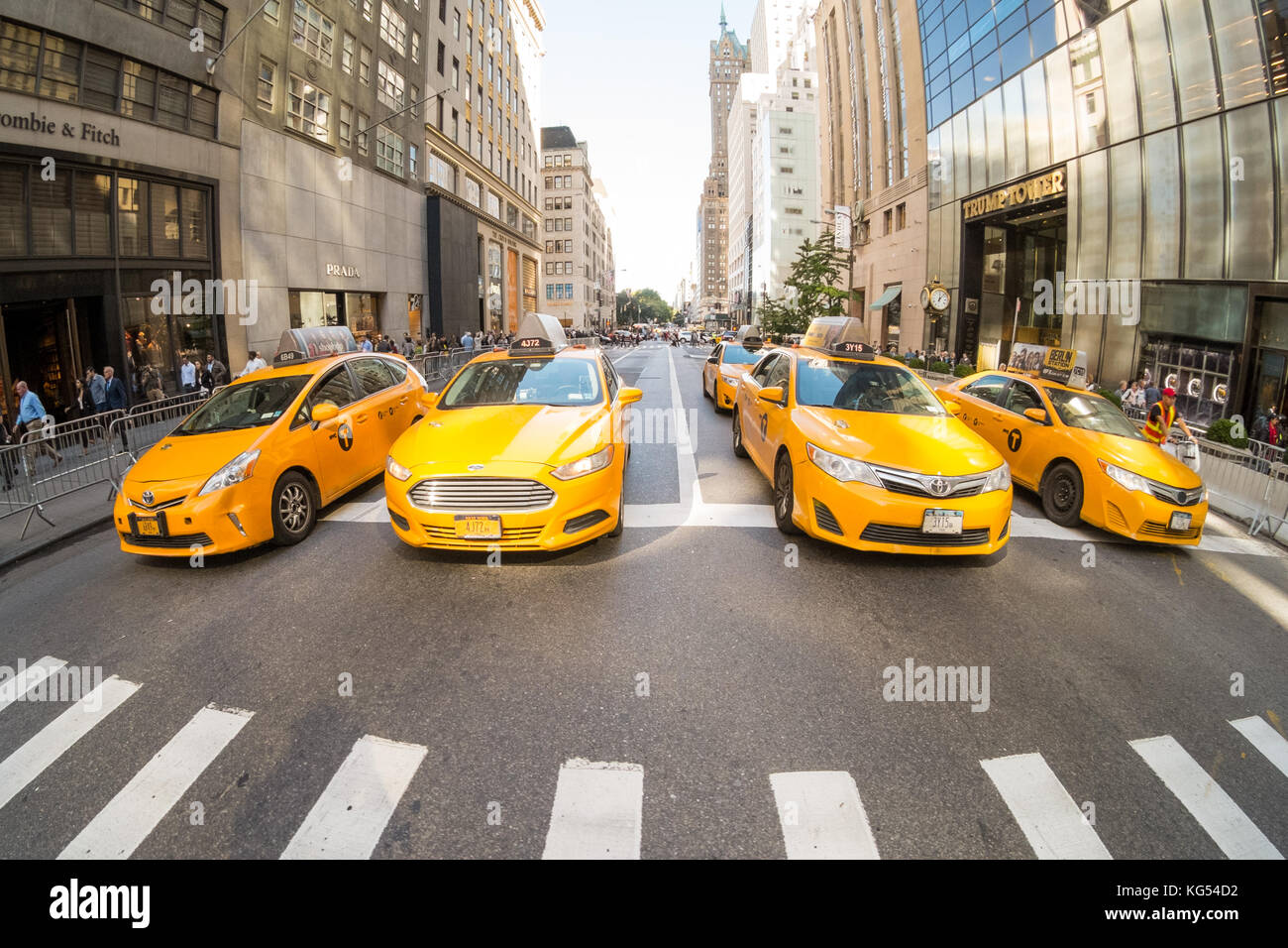 Name Für Das Taxi In Den Usa Ny Taxi Stockfotos und -bilder Kaufen - Alamy