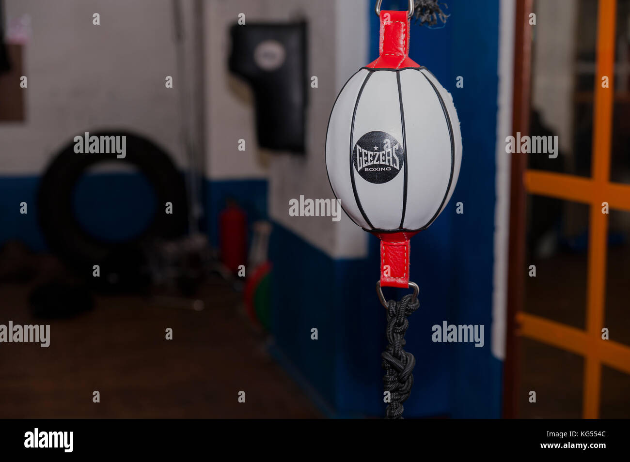 Boxen vom Boden bis zur Decke Speed Ball, hängt in der Boxhalle. Stockfoto
