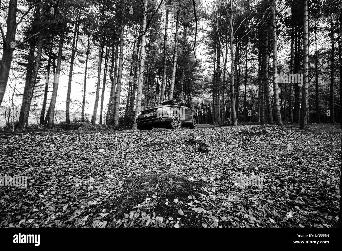 Range Rover Sport Geländefahrt Stockfoto