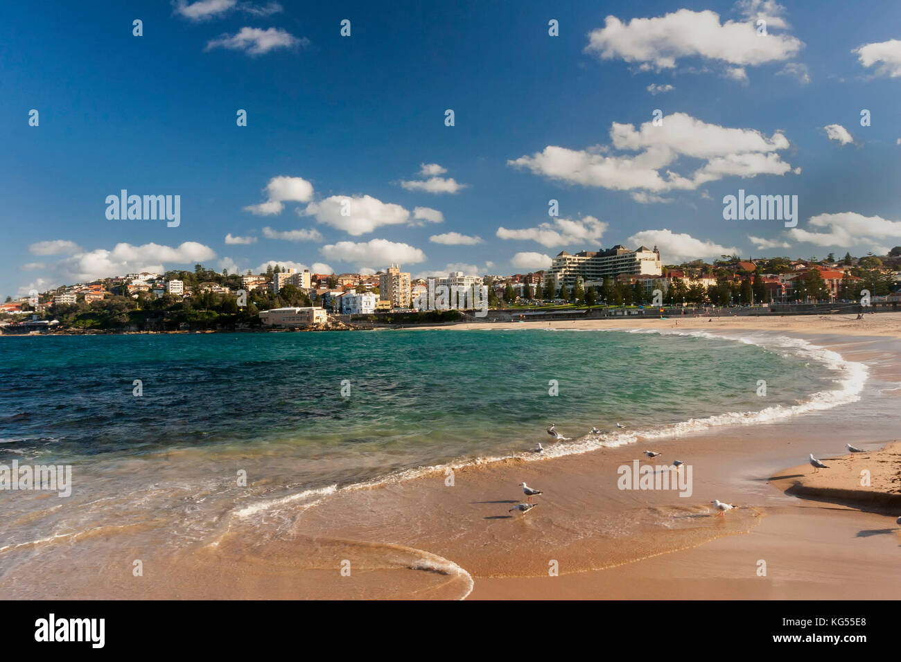 Stadt von Coogee Coogee Beach, Sydney, Australien Stockfoto