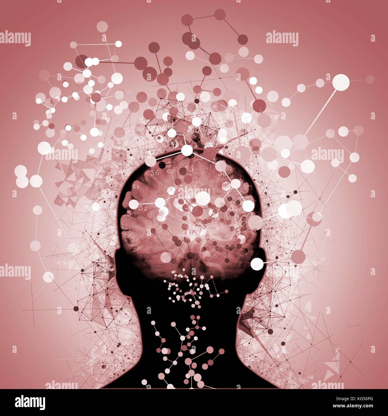 Menschlichen Kopf mit Linien und Punkten, Illustration. Stockfoto