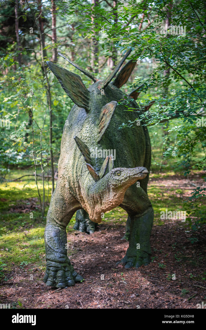 Solec kujawski, Polen - August 2017: Lebensgroßen Dinosaurier stegosaurus Statue in einem Wald Stockfoto