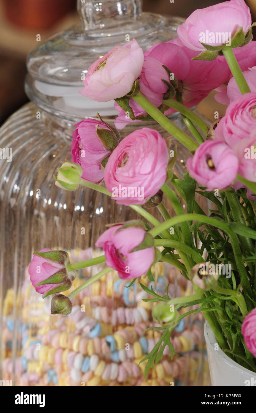 Bündel Ranunkeln und Candy Halsketten in Storage jar, Ranunculus asiaticus, close-up Stockfoto