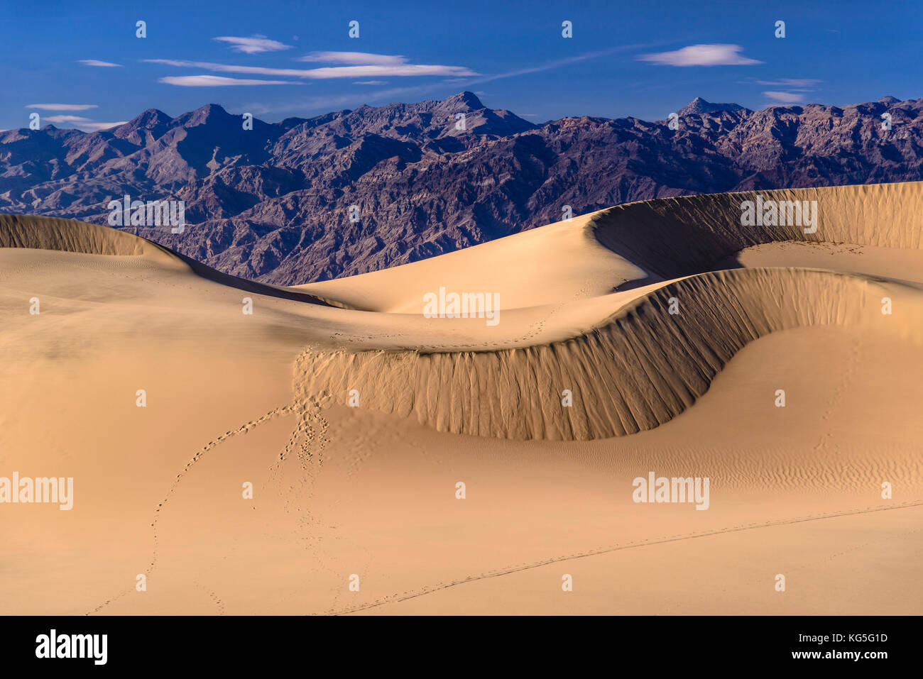 Die USA, Kalifornien, Death Valley National Park, Stovepipe Wells, Mesquite flachen Sand Dünen in Richtung Grapevine Mountains Stockfoto