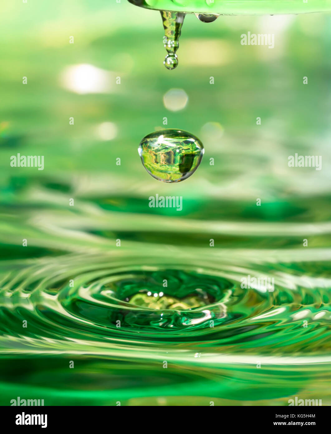 Tropfen vier Jahreszeiten - Frühling. Stockfoto