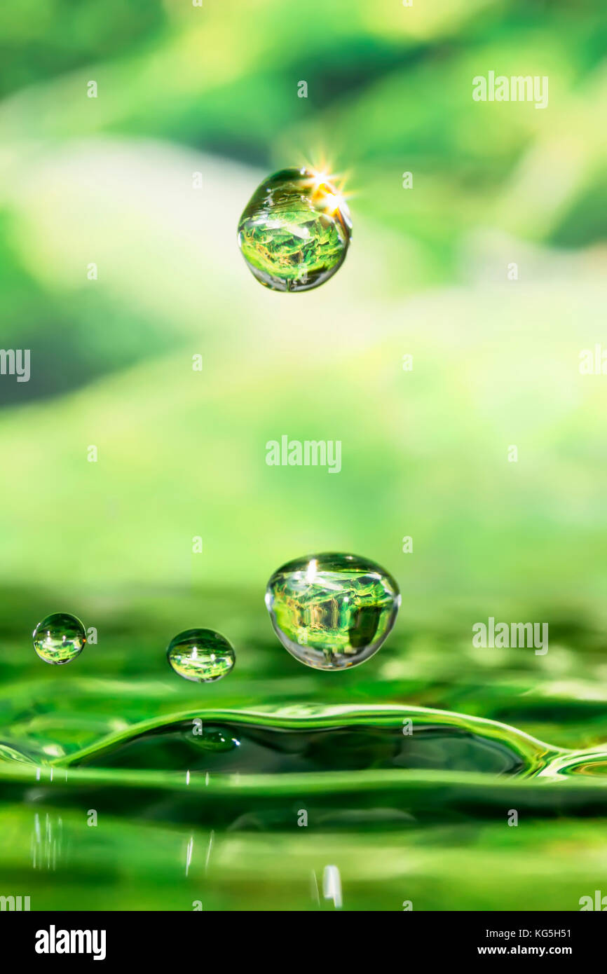 Tropfen vier Jahreszeiten - Frühling. Stockfoto