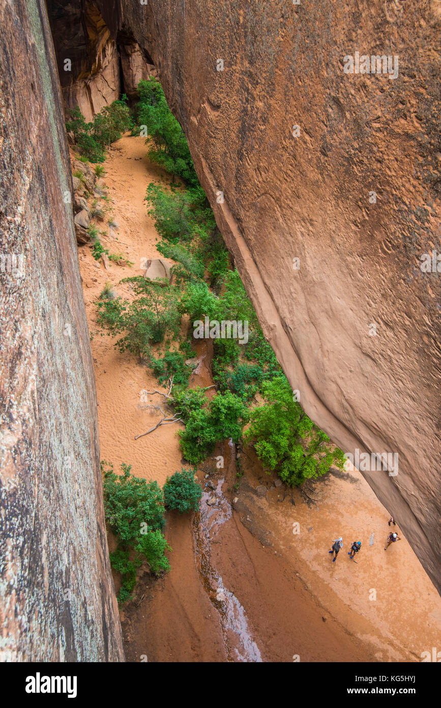 Riesige Bogen in der Wüste in der Nähe von Moab, Utah, USA Stockfoto