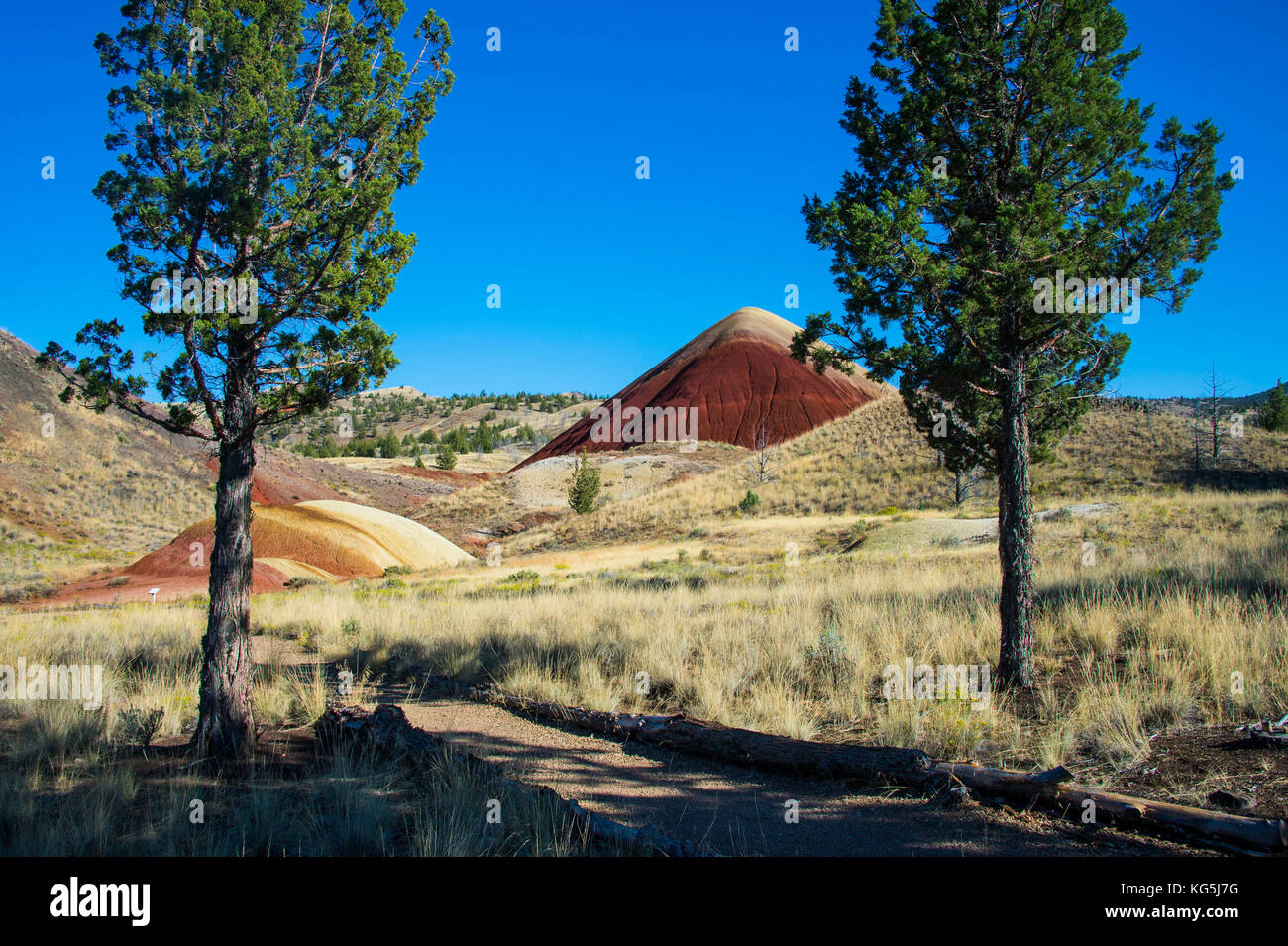 Mehrfarbiger Schichtenberg in der Painted Hills Unit im John Day Fossil beds National Monument, Oregon, USA Stockfoto