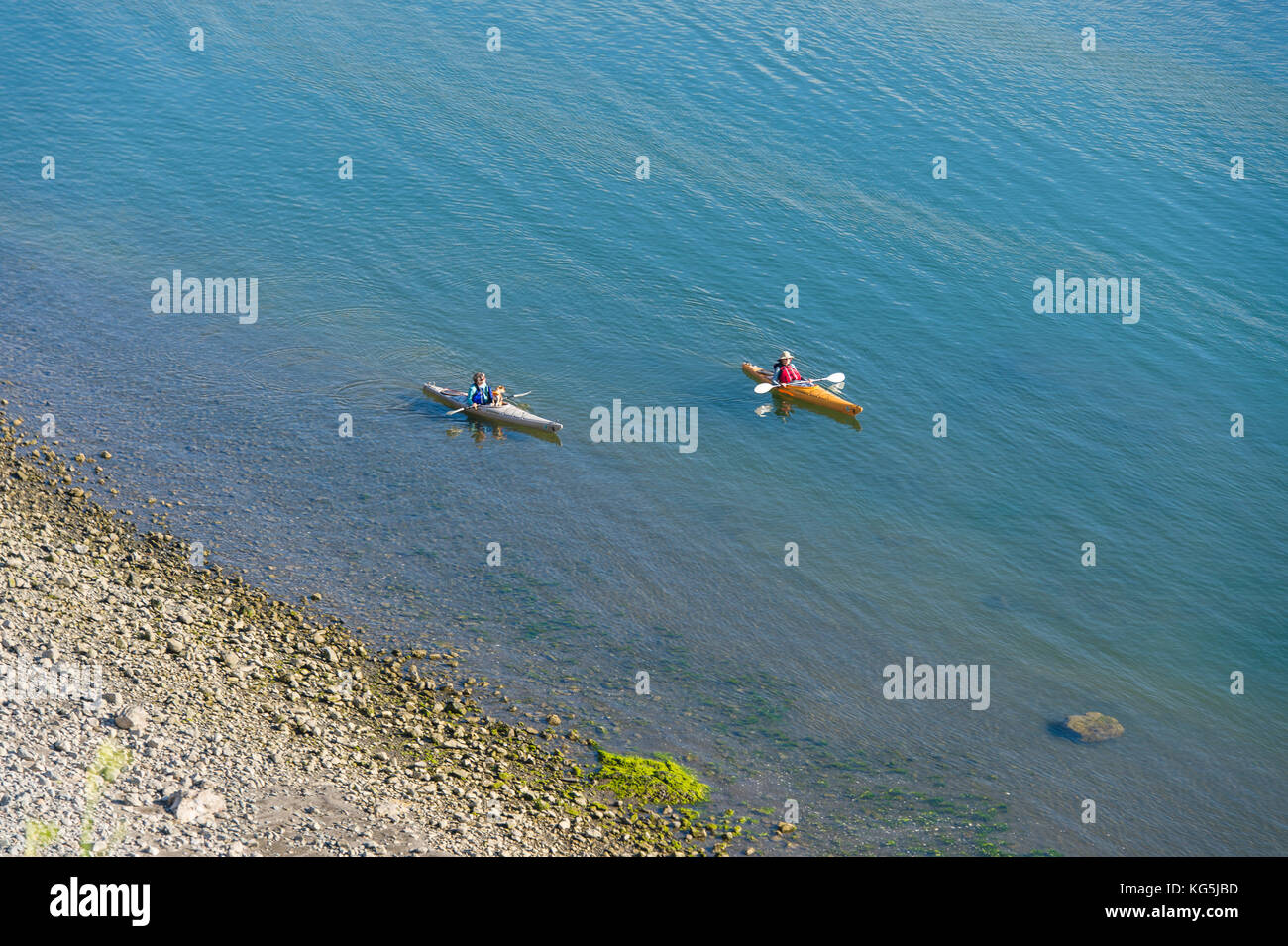 Kajakfahrer am Russian River in den Pazifik, Nord Kalifornien, USA Stockfoto