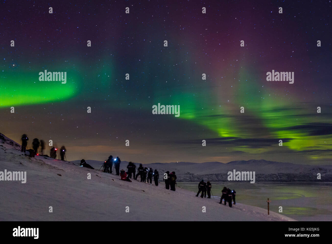 Die Menschen genießen und Fotografieren der Aurora borealis oder northern lights am Abisko sky Station, abisko, Lappland, Schweden. kalte Temperaturen von bis zu -47 Grad Celsius. Stockfoto
