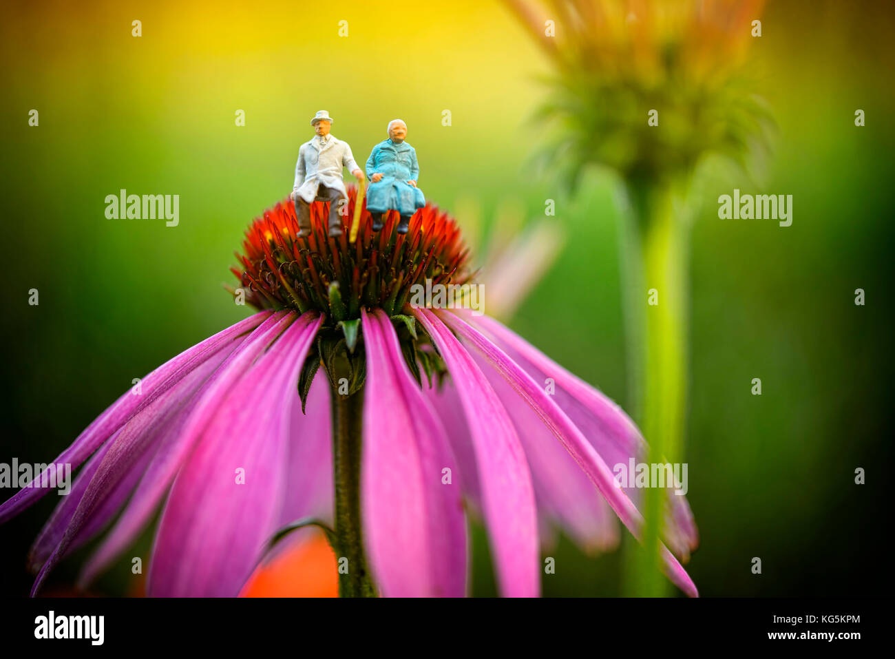 Senior Paar, Figuren, Blumen, Symbol, Pension, Pensionierung Stockfoto