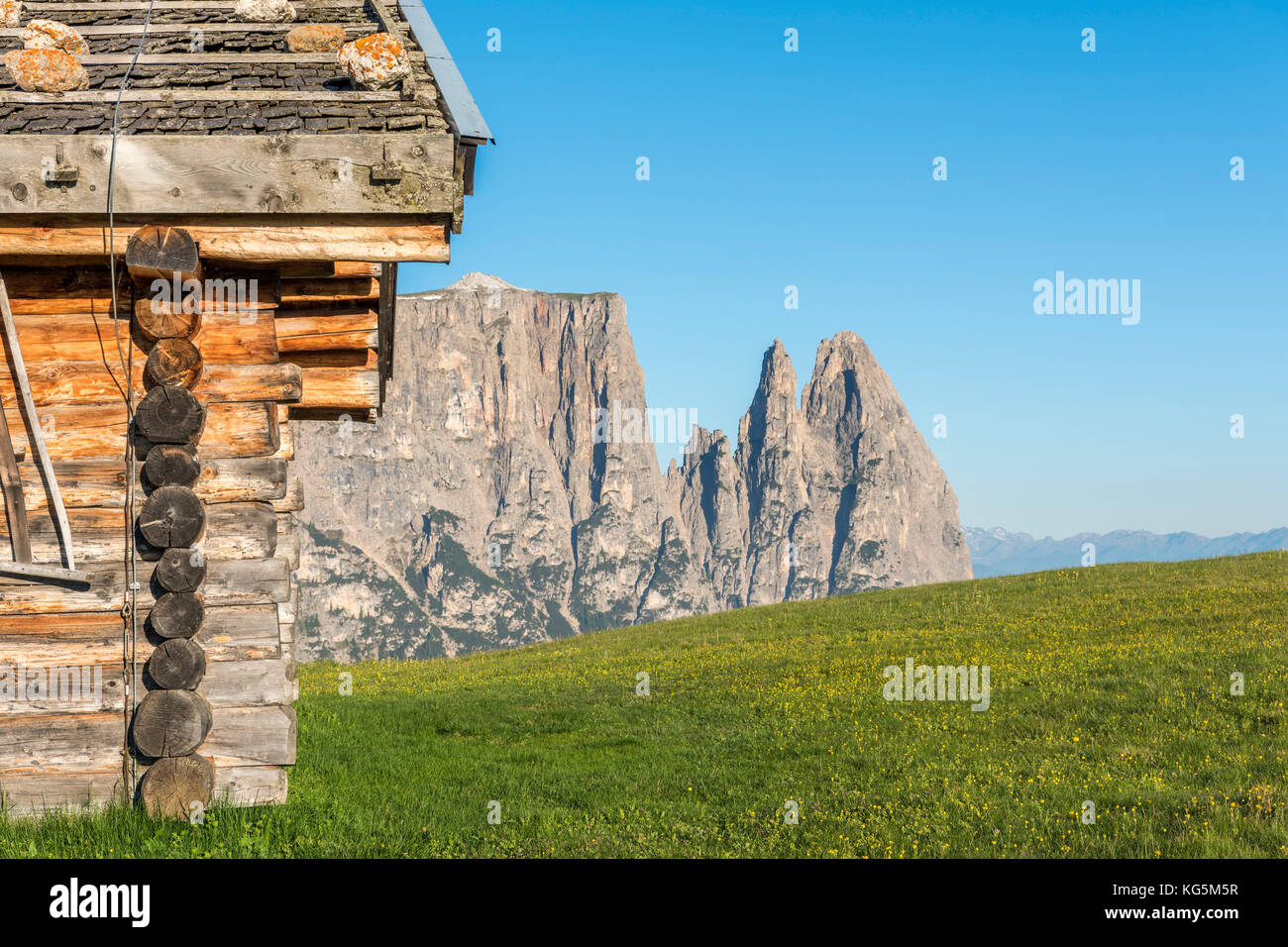 Seiser Alm, Dolomiten, Südtirol, Italien. Stockfoto