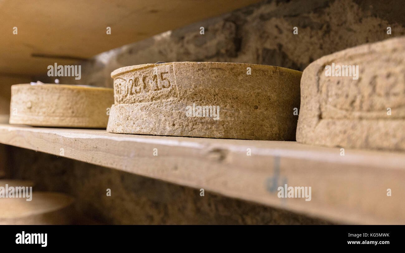 D'Alpe Bitto D.O.P. Käse, Valchiavenna, Chiavenna Dorf, Sondrio Bezirk, Lombardia, Italien Stockfoto