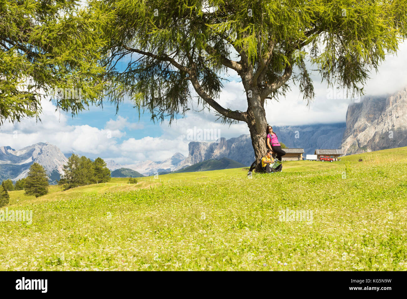 Ein paar Touristen ist entspannend unter einem großen Baum auf der Seiser Alm, (Seiser Alm), Provinz Bozen, Südtirol, Trentino Alto Adige, Italien Stockfoto