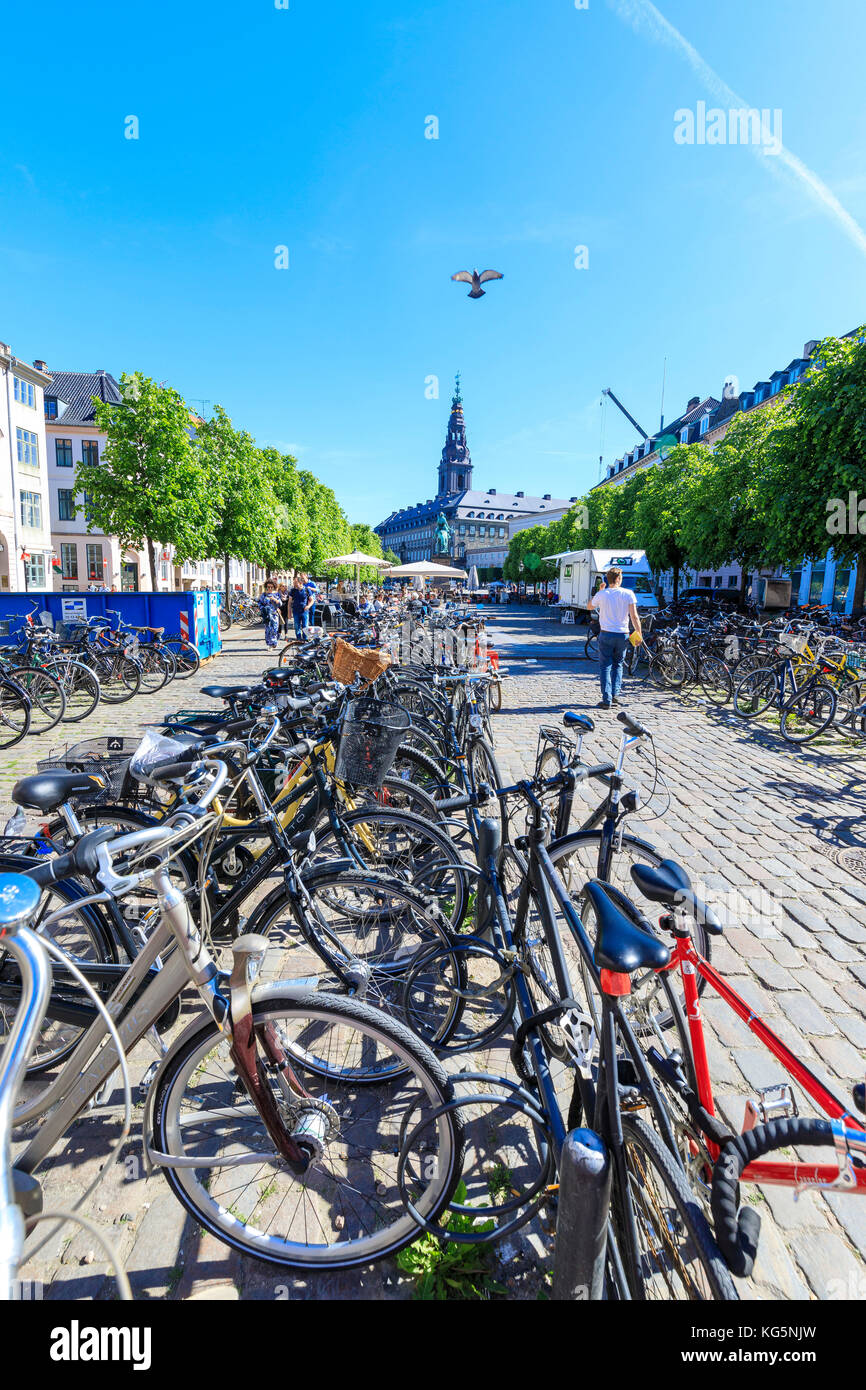 Reihen von abgestellte Fahrräder in Kopenhagen, nominiert als erste Bike Stadt der Welt, Dänemark Stockfoto