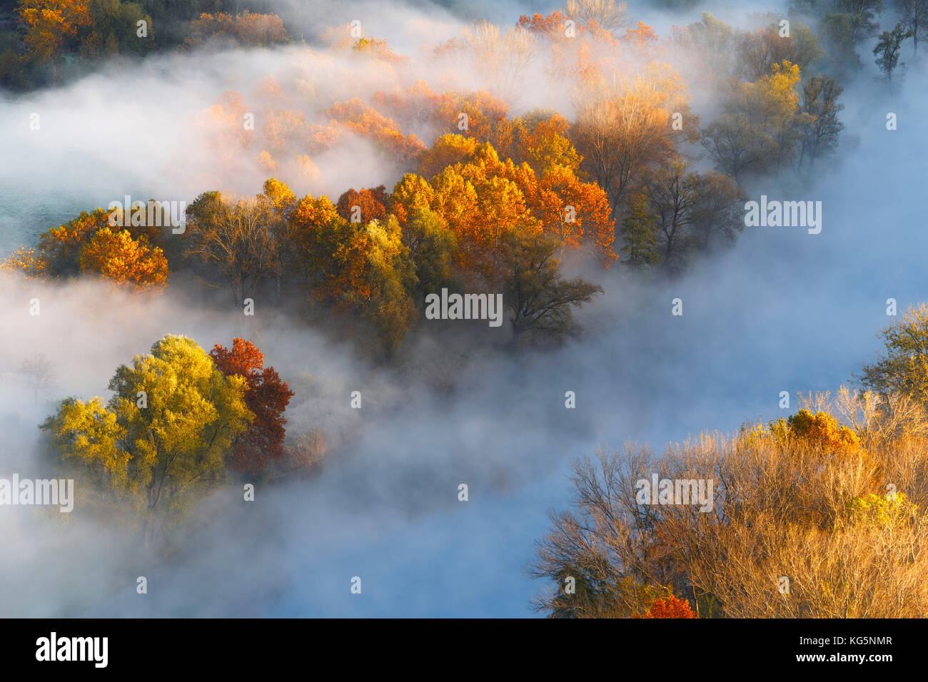 Die Nebel von adda Fluss, airuno, Park adda Nord, Lecco Provinz Brianza, Lombardei, Italien, Europa Stockfoto