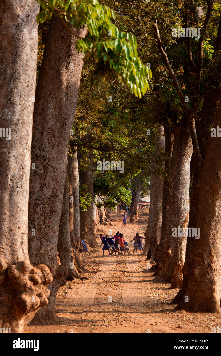 Afrika, Malawi, Bezirk Lilongwe. Verkürzung eines malawischen Dorfes Stockfoto