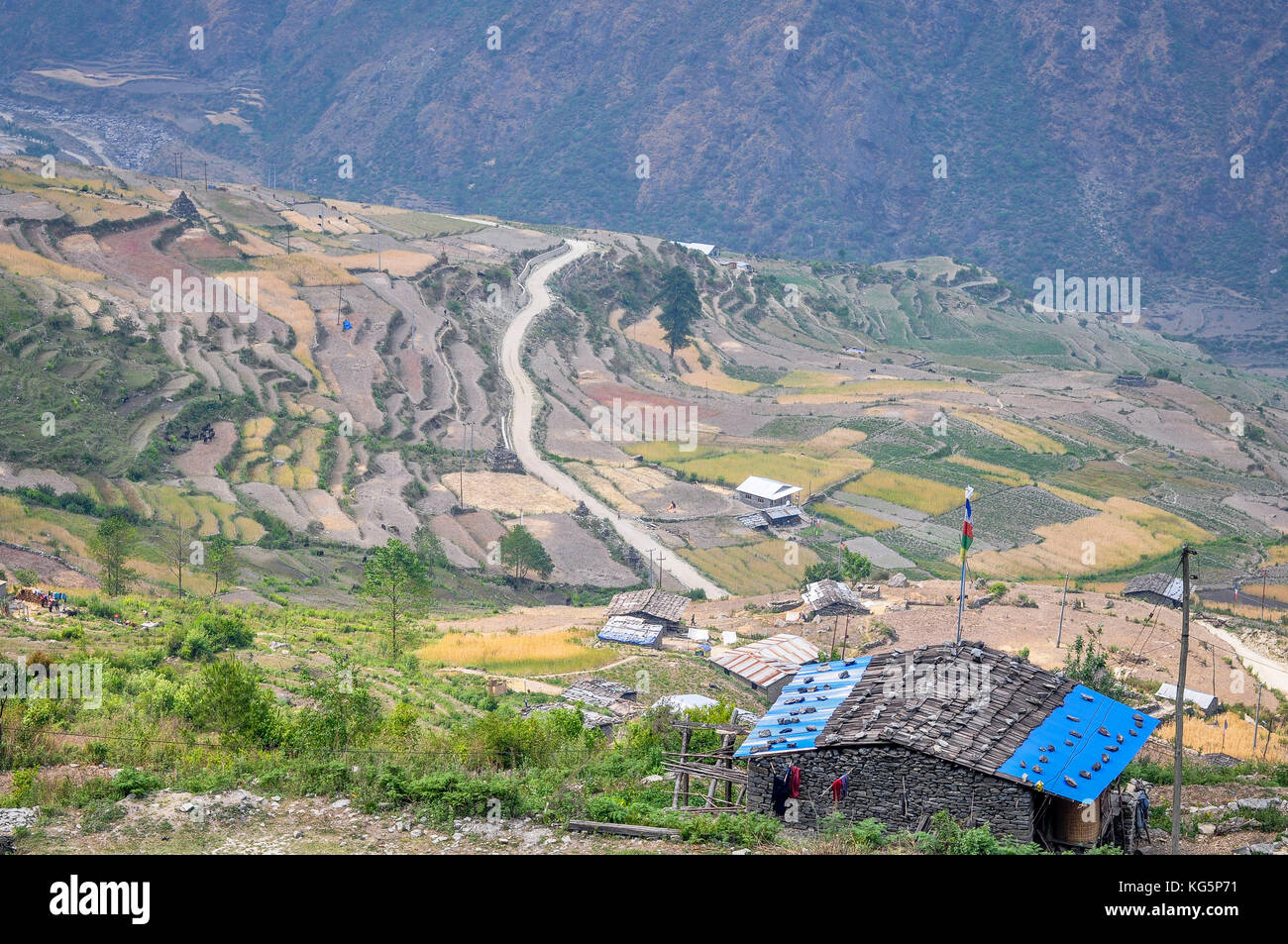 Vielfalt der Farben der Felder, Rasuwa District, bagmati Region, Nepal, Asien Stockfoto