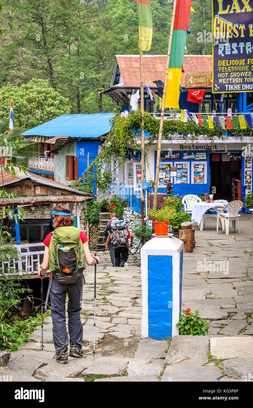 Typische Lodges entlang der trekking Trail, Annapurna region, Nepal, Asien Stockfoto