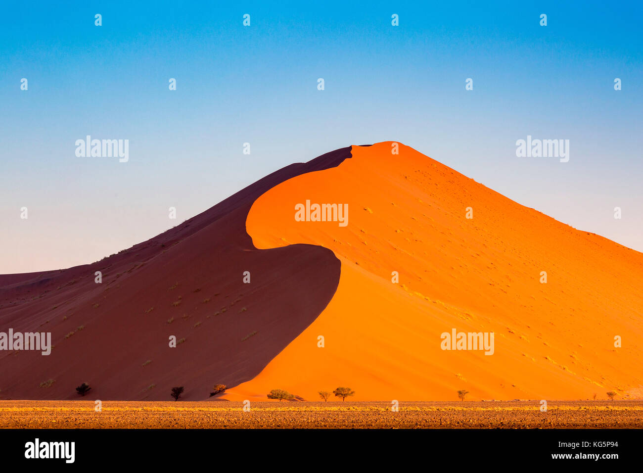Namib Wüste, Dünen. Namibia, Afrika Stockfoto