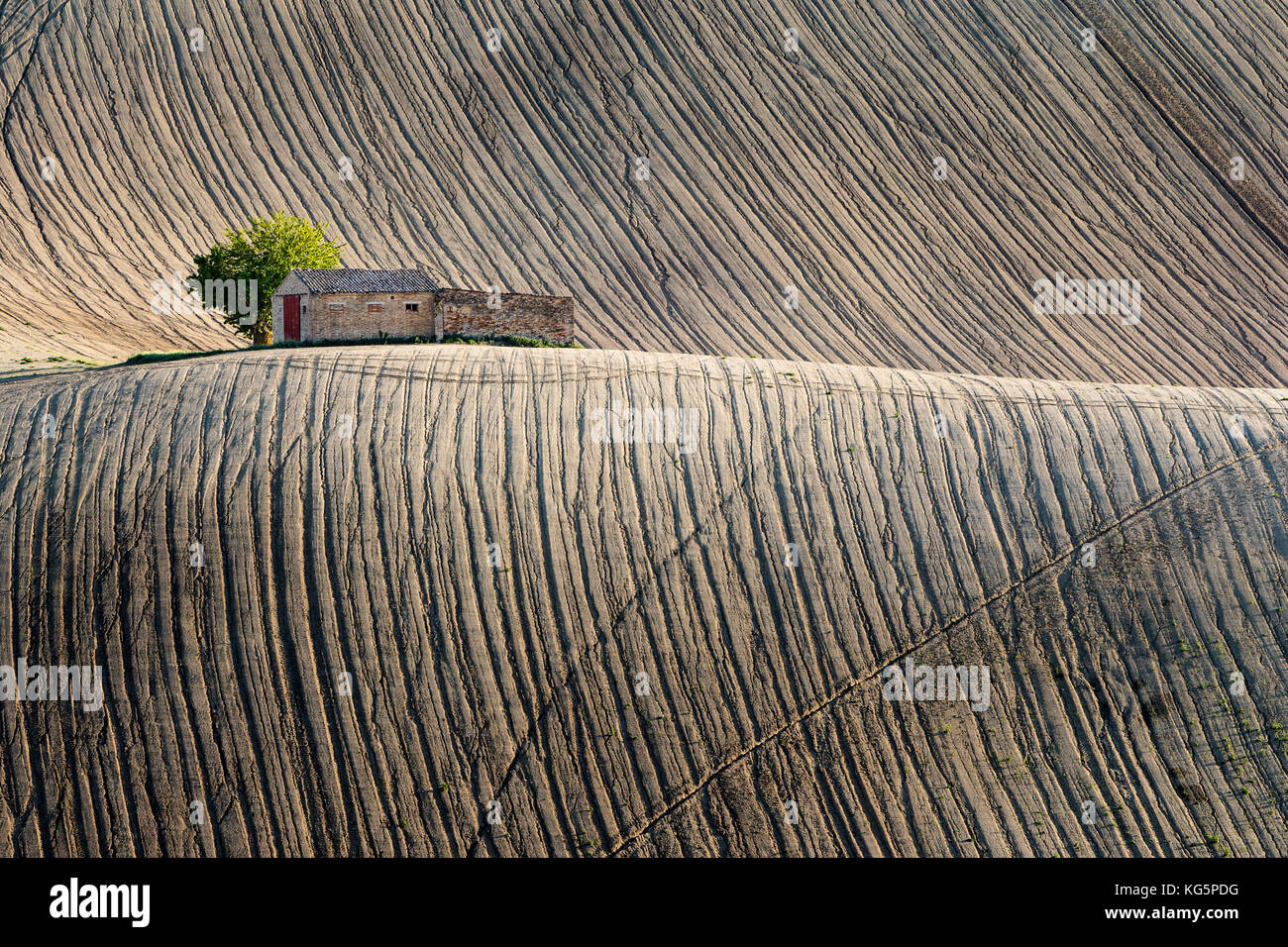 Typische ländliche Landschaft der Region Marken, Italien Stockfoto