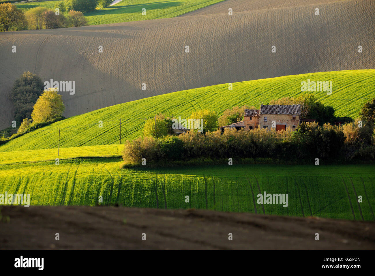 Landschaft von morrovalle Dorf, Macerata, Marken, Italien Stockfoto