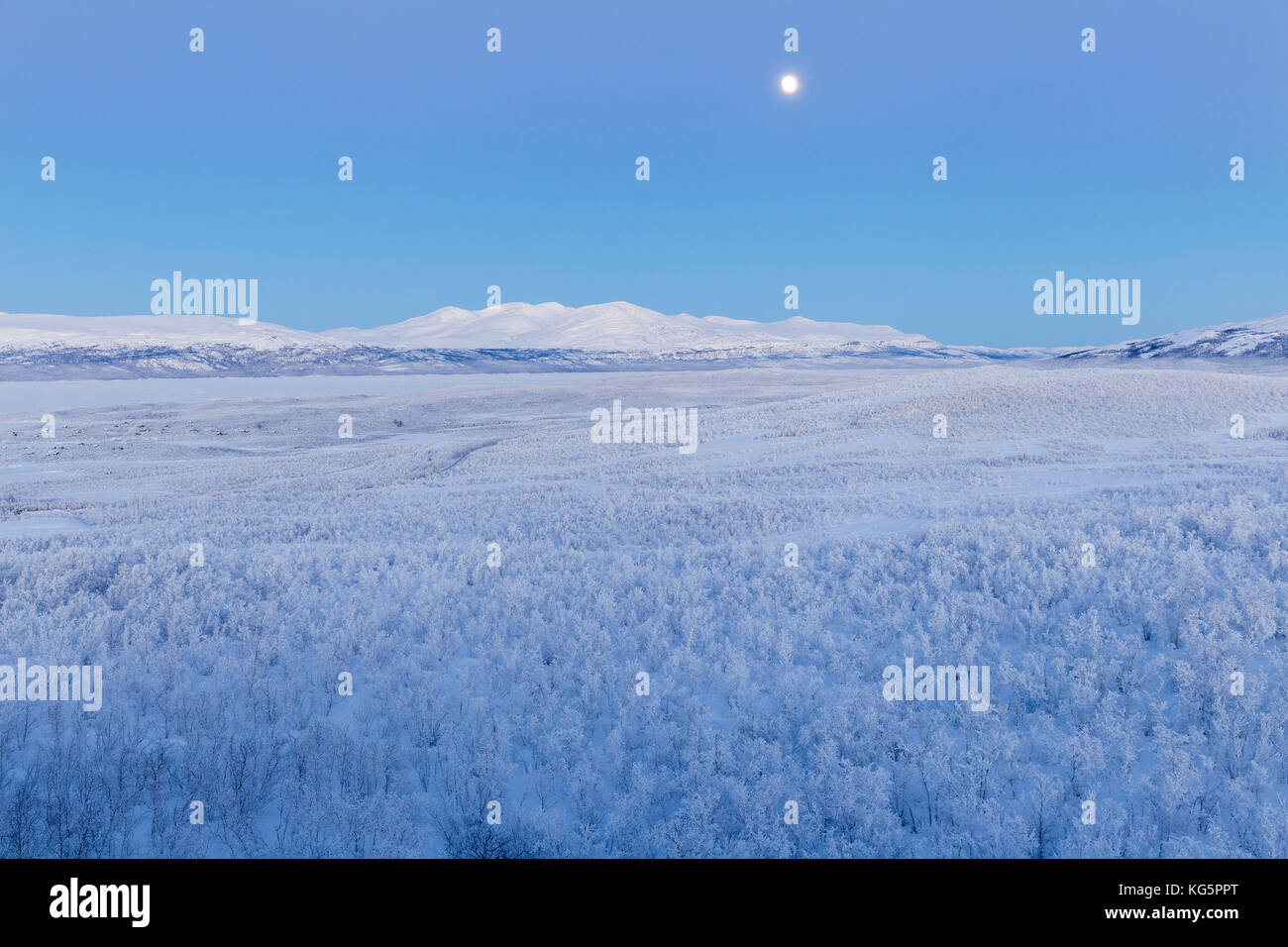 Die mondaufgang über Lappland Wald. Abisko, Abisko Nationalpark, Norbottens Ian, Schweden, Europa Stockfoto