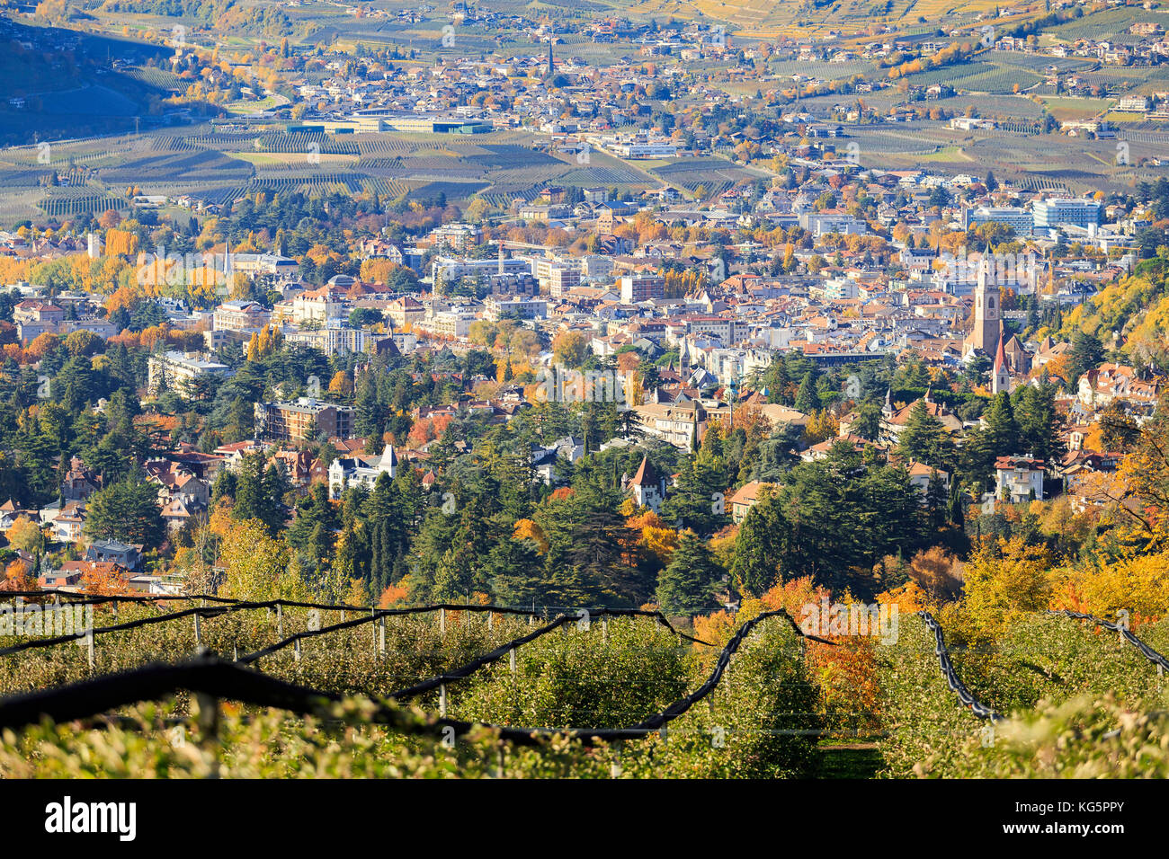 Blick auf die Stadt Meran. Meran, Vinschgau, Südtirol, Italien, Europa Stockfoto