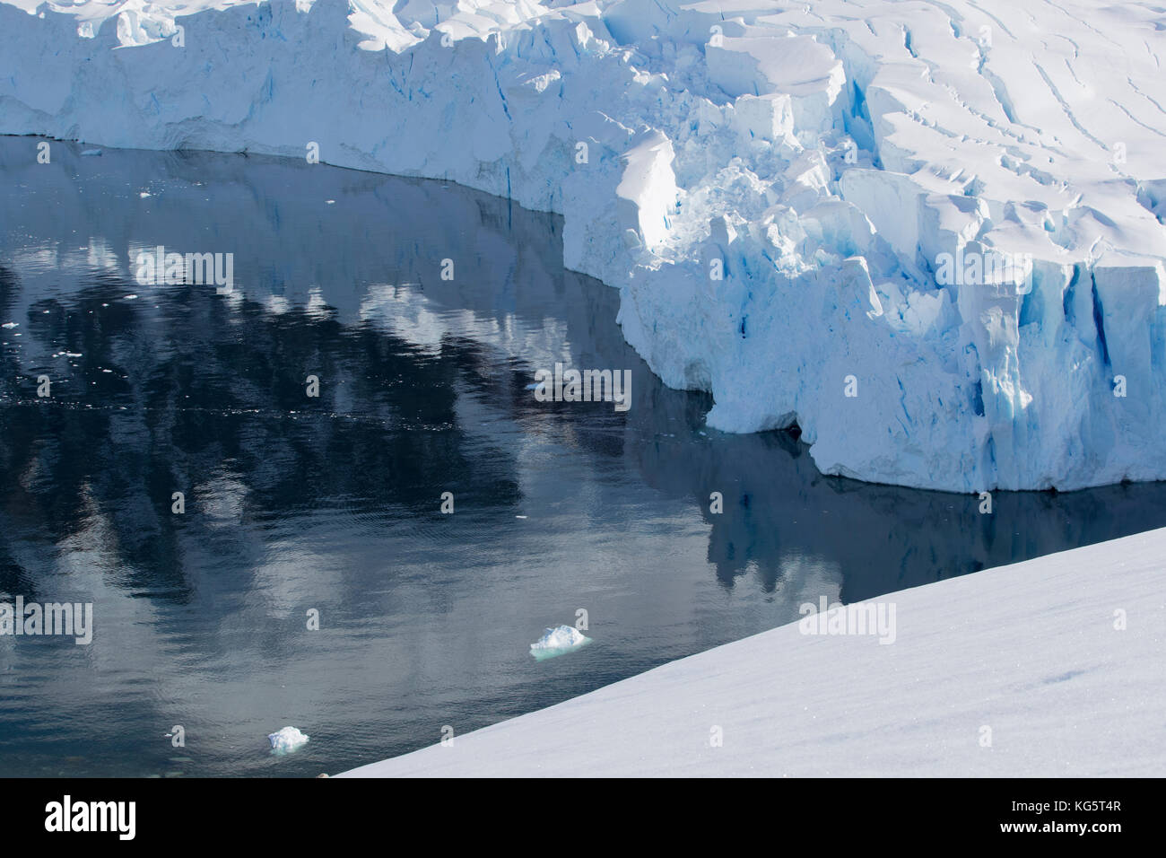 Gletscher und Wasser Reflexionen, Antarktische Halbinsel Stockfoto