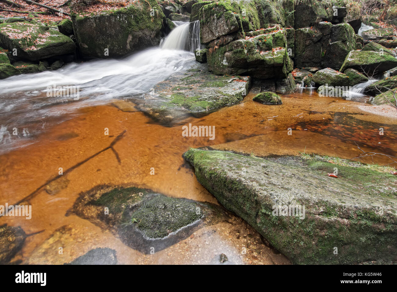 Fließendes Wasser durch Felsbrocken auf einem Waldbach Stockfoto