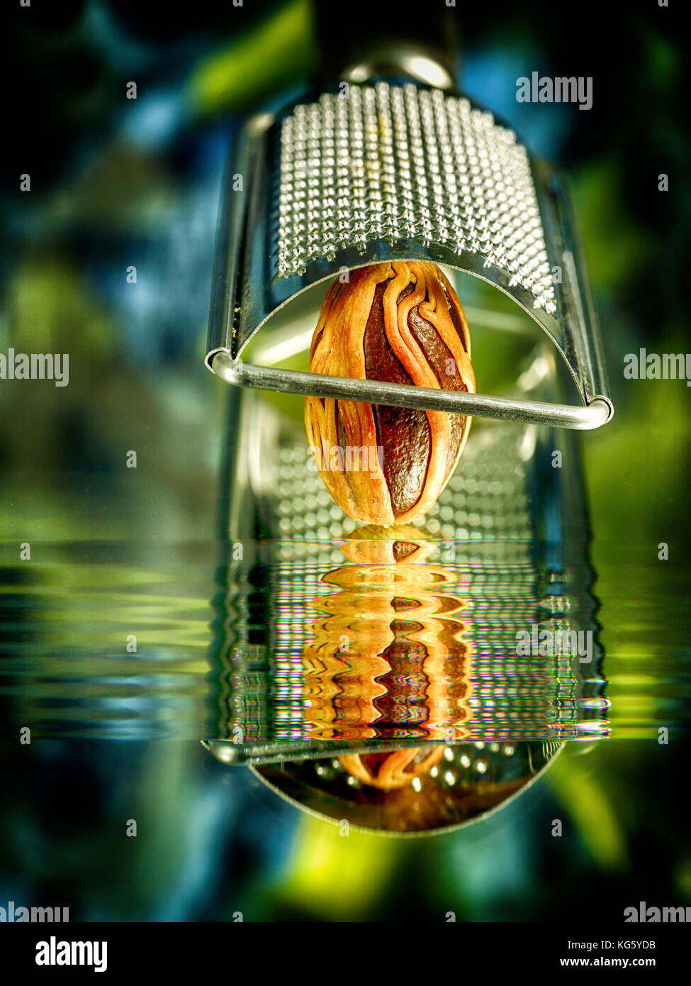 Muskatnuss und reibe Still Life Stockfoto