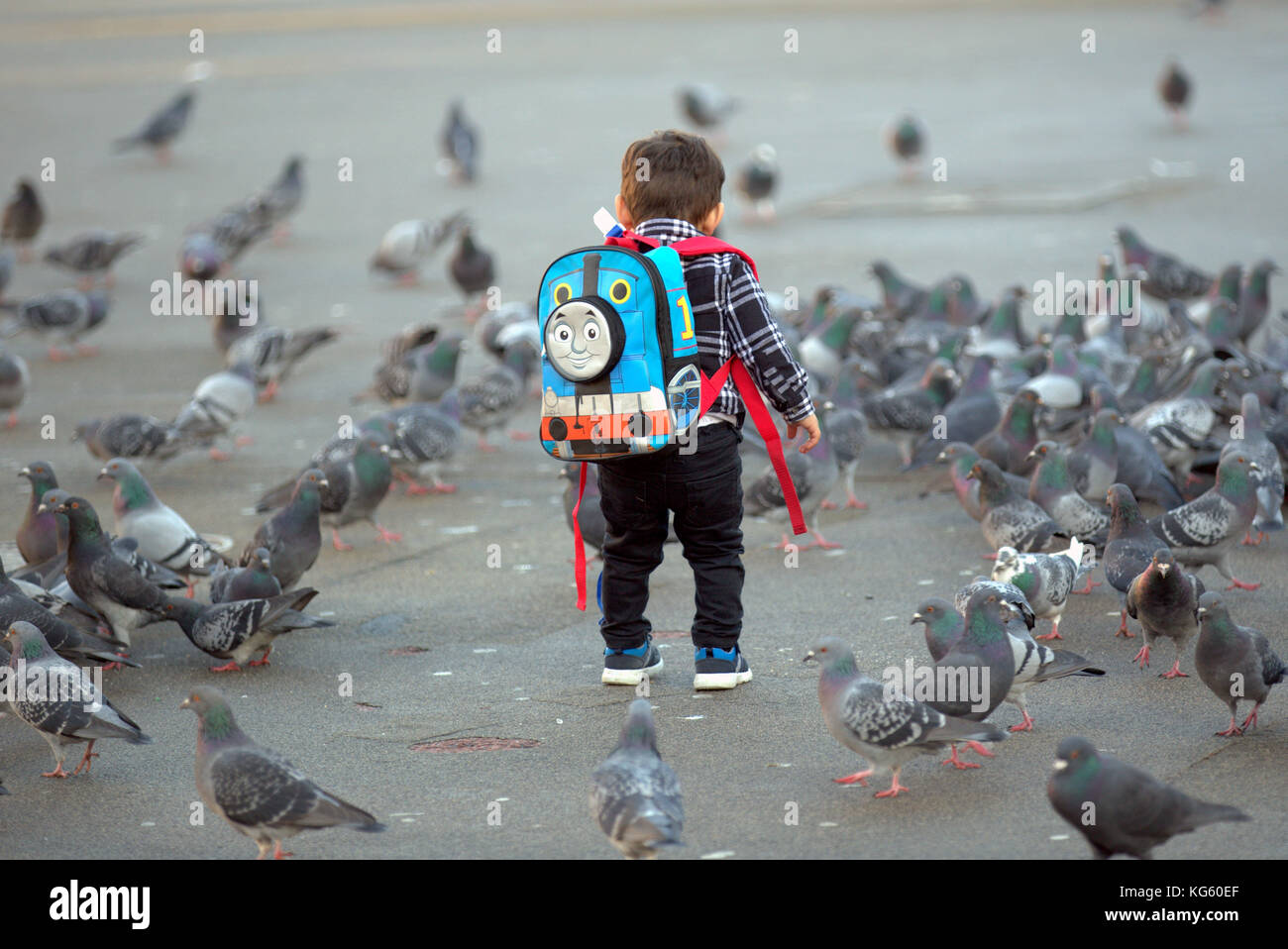 Junge Junge Kind Thomas die Lok Rucksack füttern Tauben von hinten gesehen Stockfoto