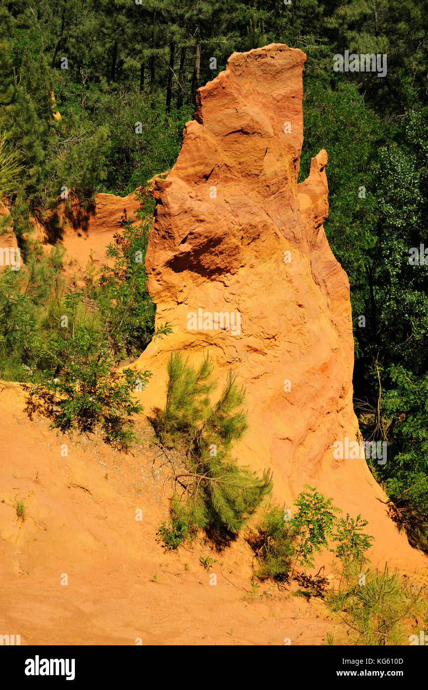 Ocker Steinbruch und Vegetation, Roussillon, Vaucluse, Provence, Frankreich Stockfoto