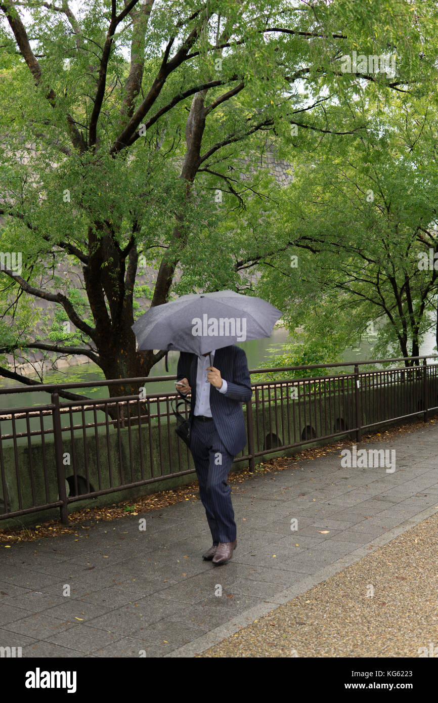 Geschäftsmann vorwärts gehen, Regenschirm und Smartphone suchen Stockfoto