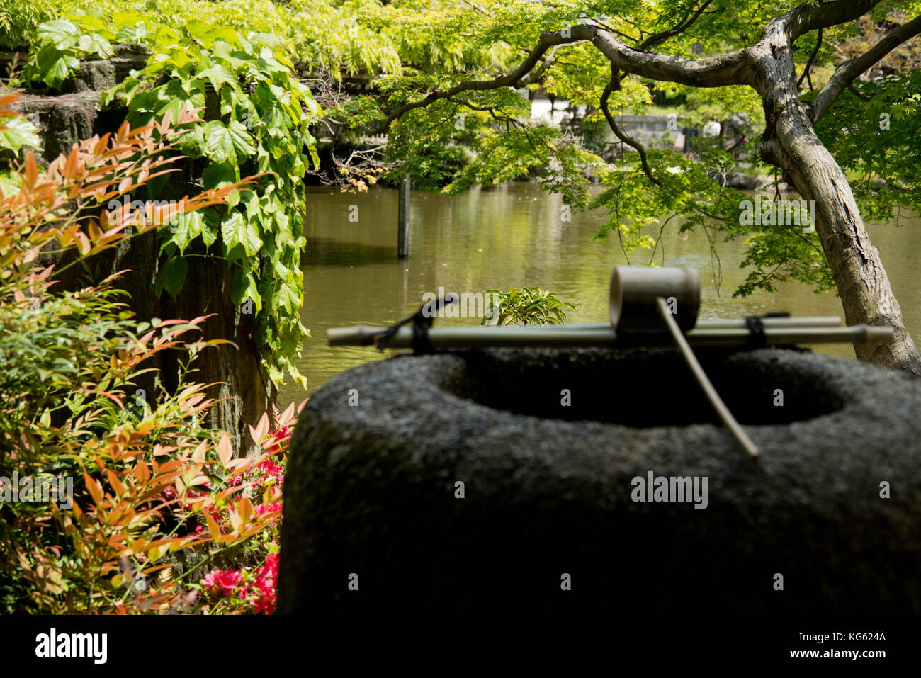 Japanische chozubachi Für Handwäsche Stockfoto