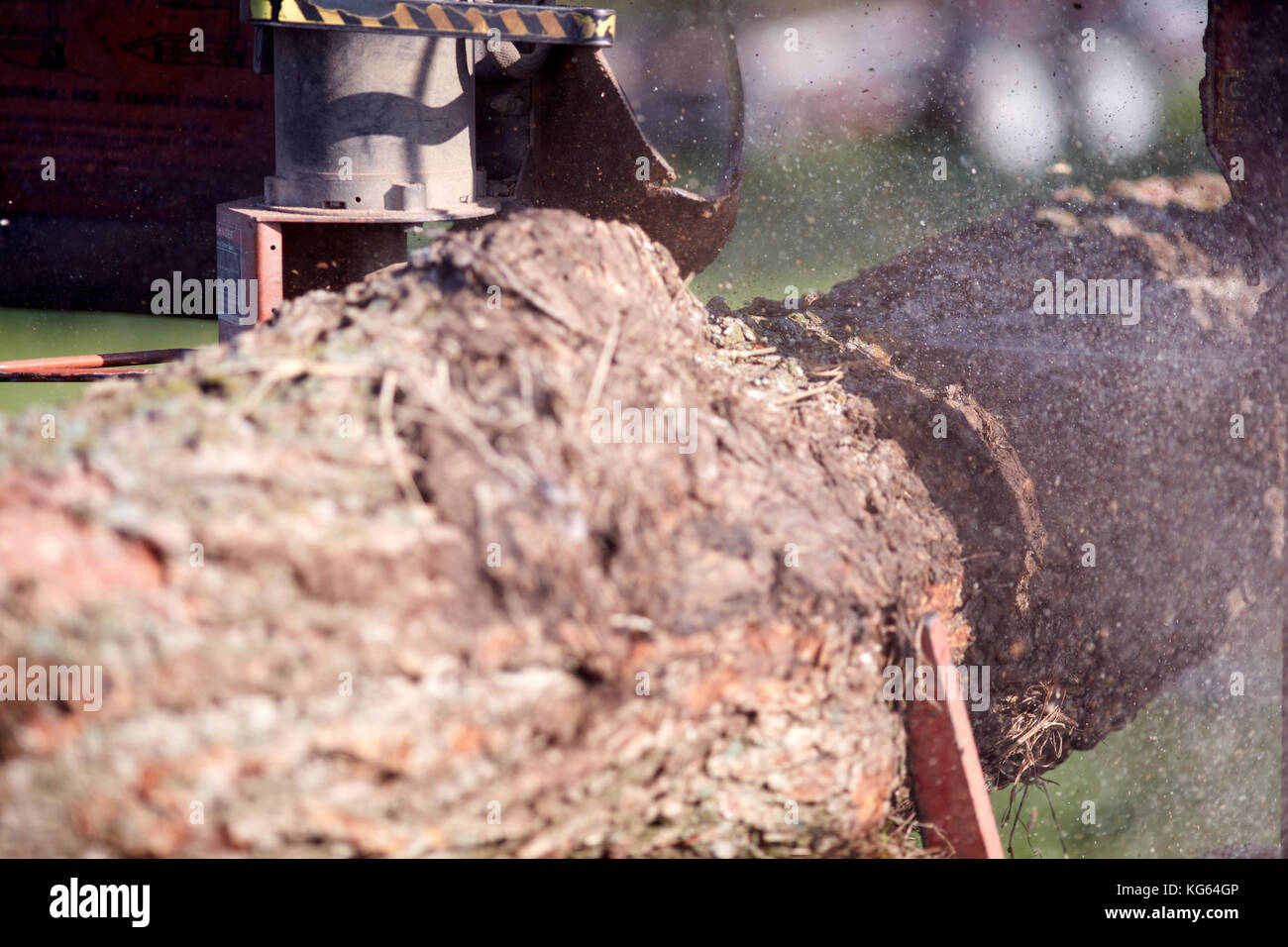 Detail aus einem Baumstamm für Bauholz, die bei der Herstellung von Brettern für Bau- und DIY-gefräst wird Stockfoto