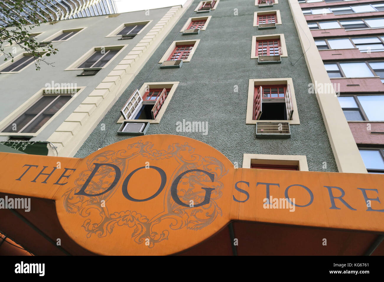The Dog Store, Haustierbedarf, NYC, USA Stockfoto