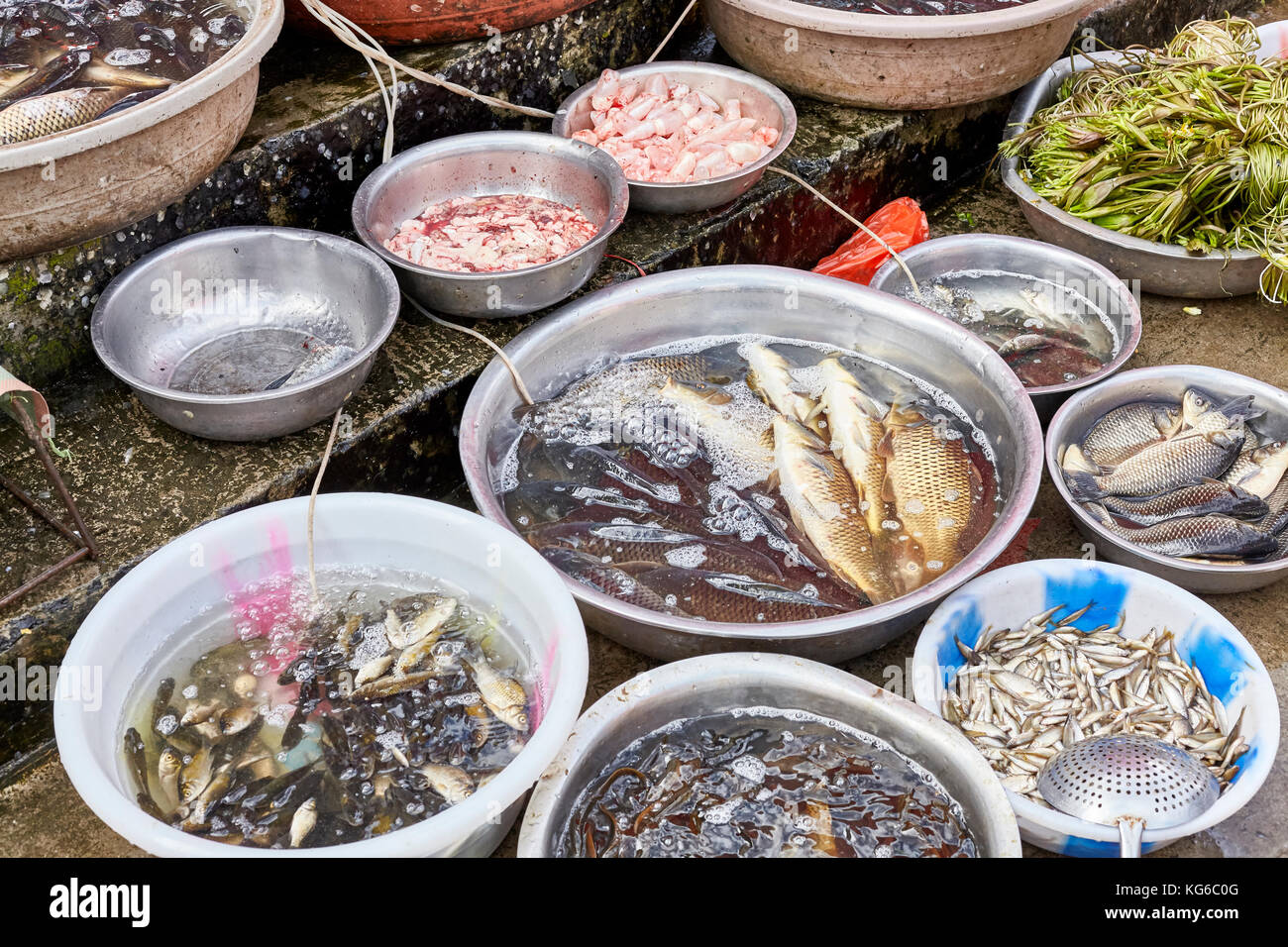 Frischer Fisch in Schalen auf einem lokalen Markt, China. Stockfoto
