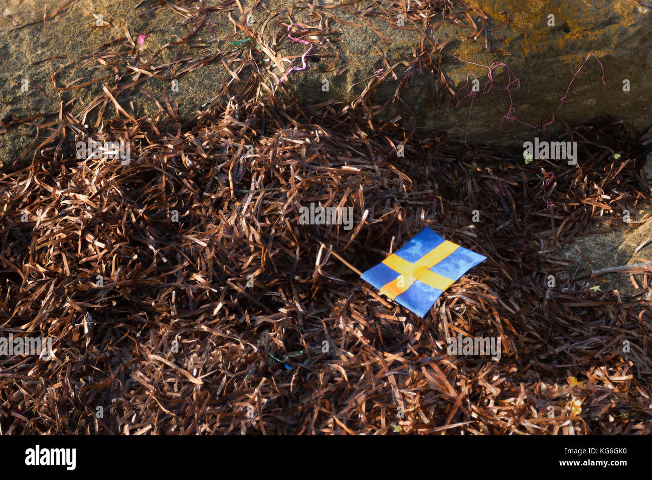 Verworfen schwedische Flagge auf Algen Stockfoto