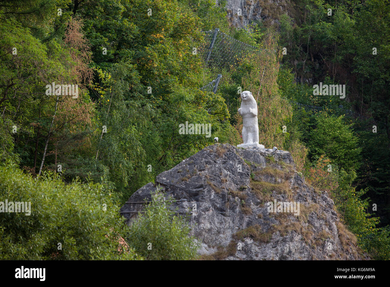 Harz Bär Rübeland Stockfoto