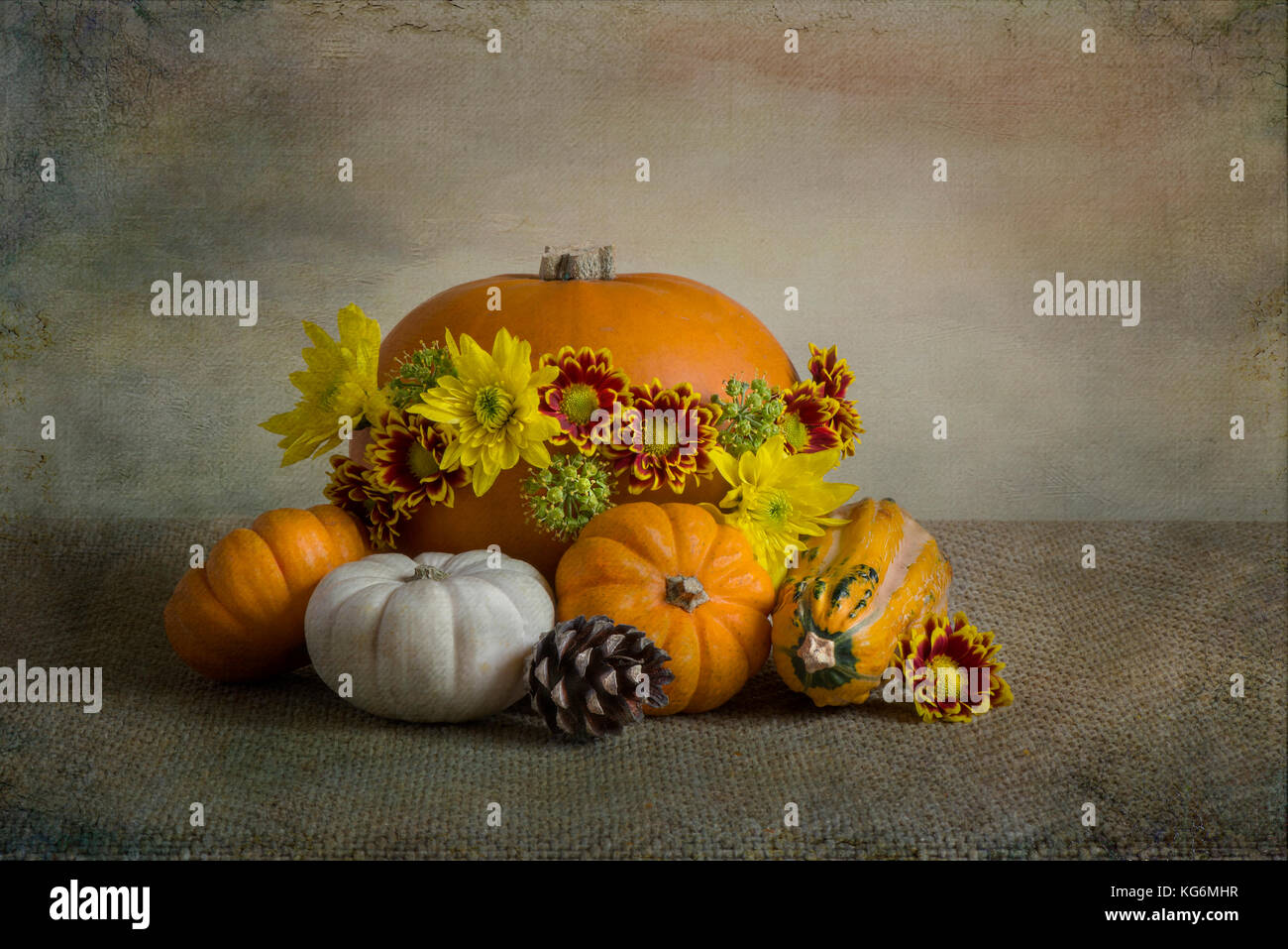 - Nahaufnahme, Still-life Bild von Herbst Blumen, Gemüse und Obst Display inklusive Halloween Kürbis Stockfoto