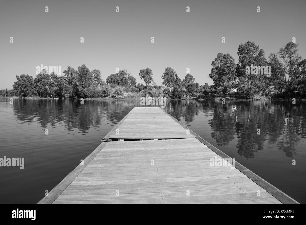 Hölzerne Seebrücke im See mit Regenwaldes lebt bäume landschaft Hintergrund. Stockfoto