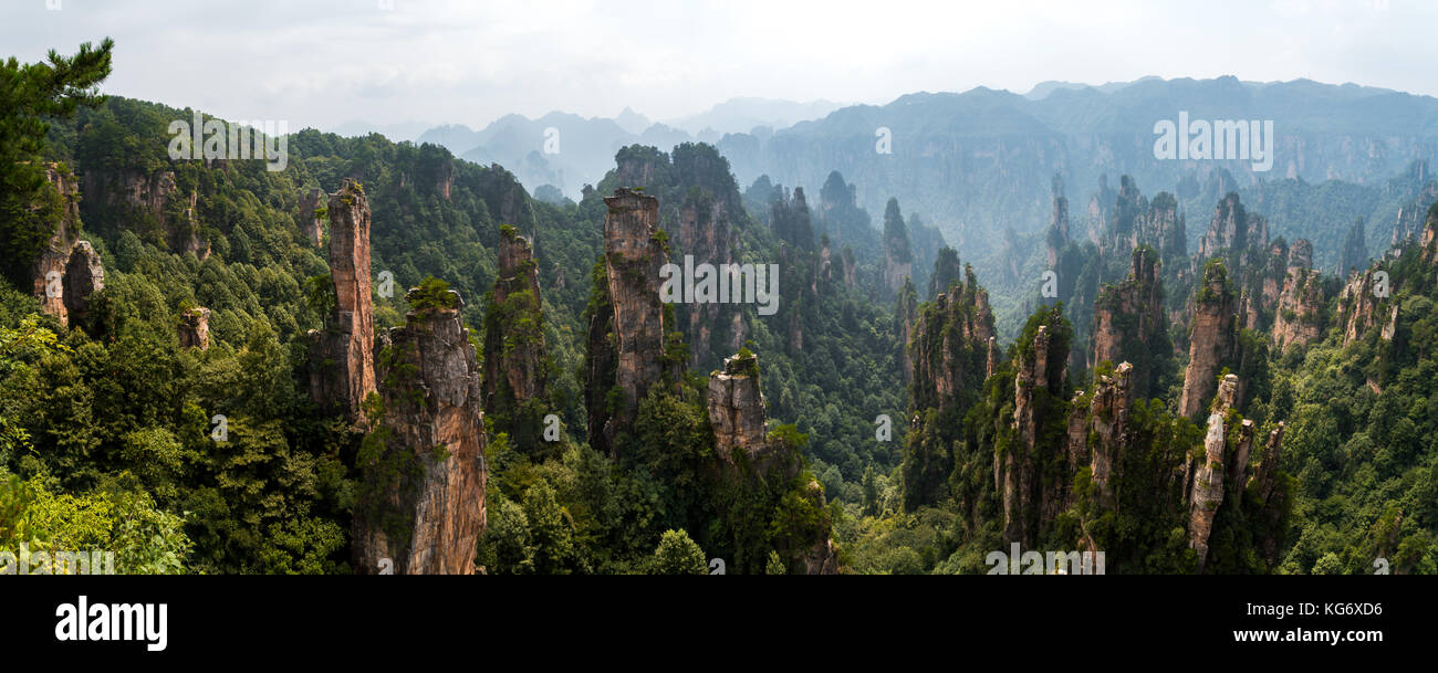 Panorama-Ansicht von Felsformationen und Landschaft im Zhangjiajie National Forest Park in der Provinz Hunan, China Stockfoto