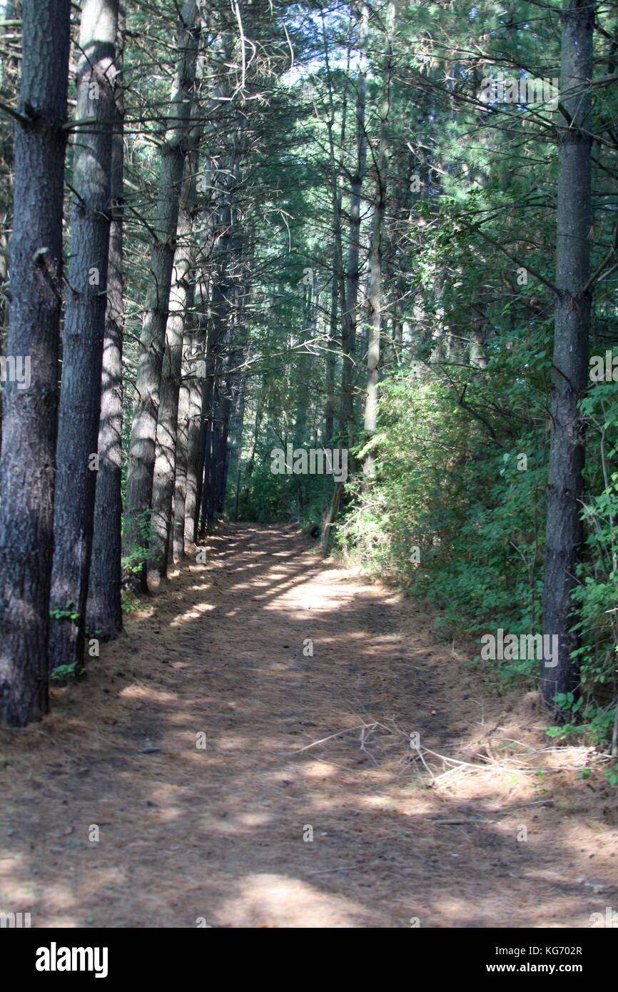 Die Farbe der Herbst im Park. Stockfoto
