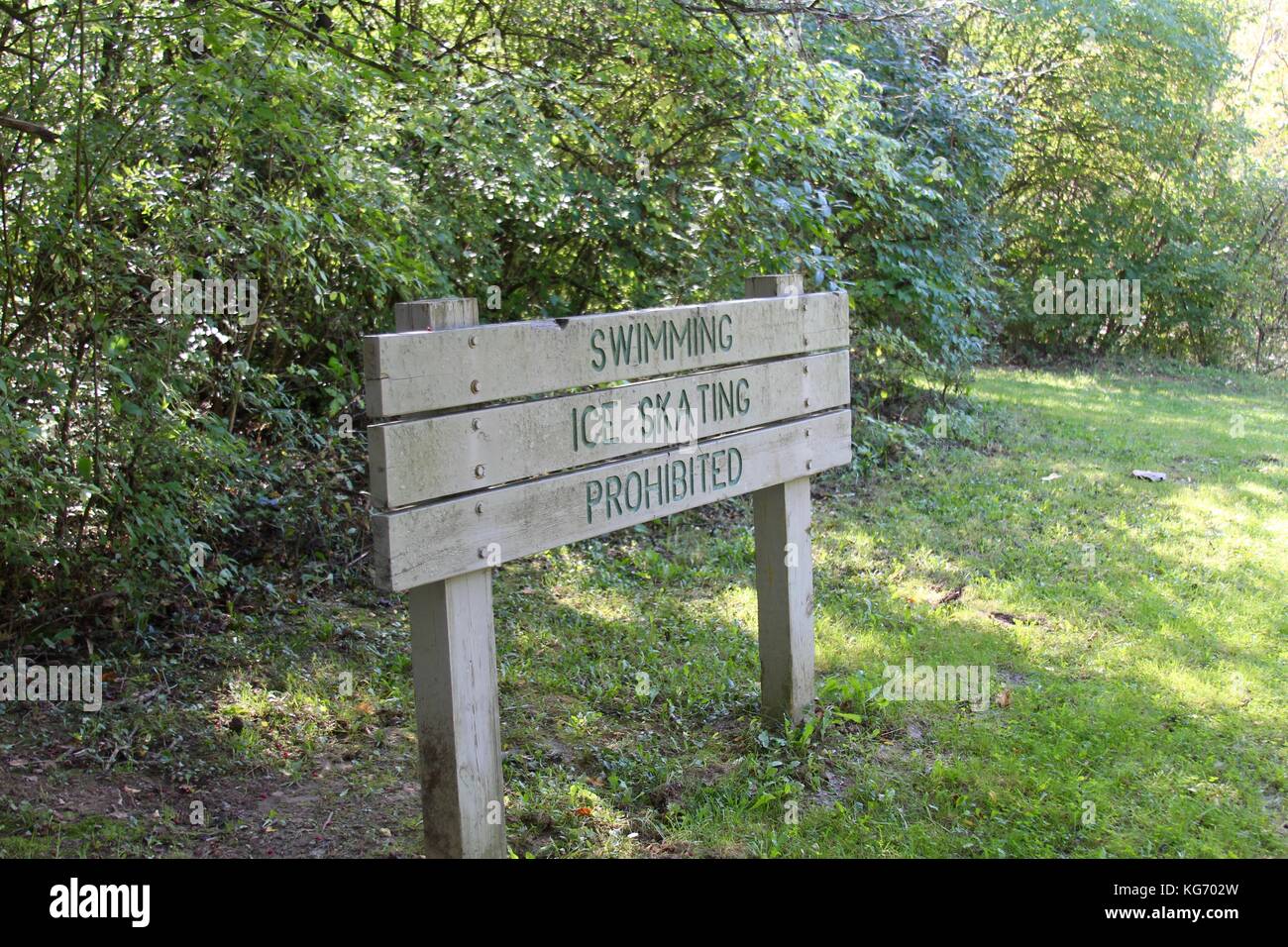 Die Farbe der Herbst im Park. Stockfoto